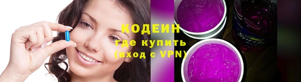 хмурый Арсеньев