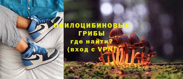 крисы Алексеевка