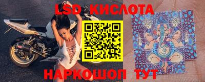 гашик Ирбит