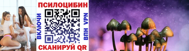 где купить   Мытищи  Галлюциногенные грибы мицелий 